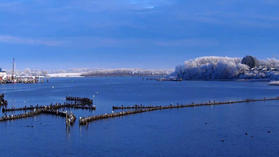 Heringszaun im Winter