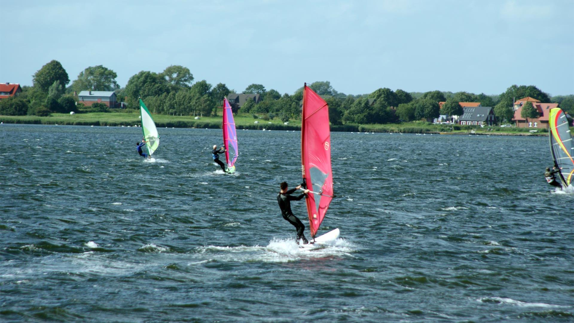 Surfen auf der Schlei